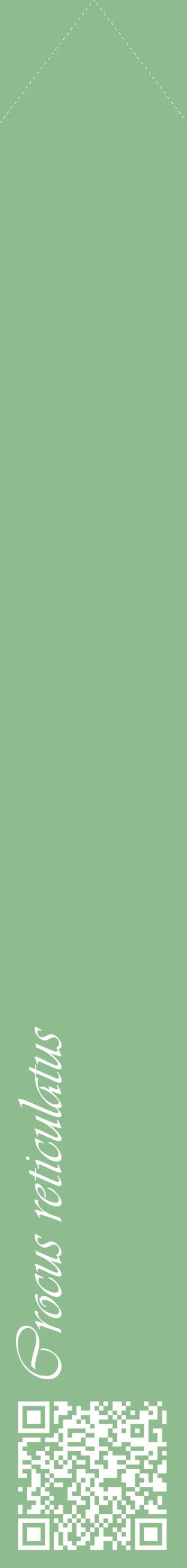 Étiquette de : Crocus reticulatus - format c - style blanche13_simpleviv avec qrcode et comestibilité