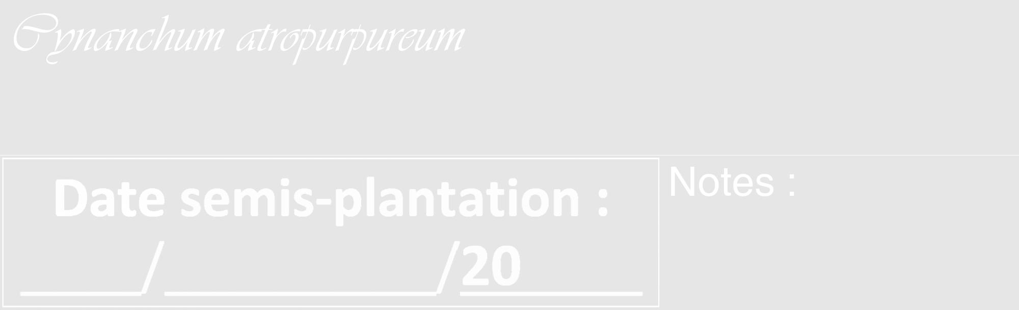 Étiquette de : Cynanchum atropurpureum - format c - style blanche18_basique_basiqueviv avec comestibilité