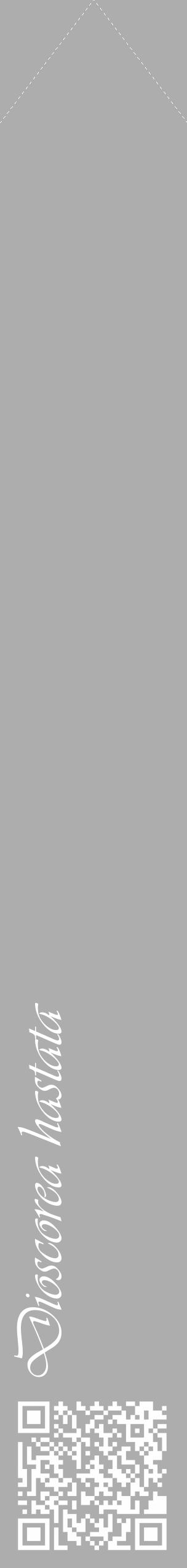 Étiquette de : Dioscorea hastata - format c - style blanche22_simple_simpleviv avec qrcode et comestibilité - position verticale