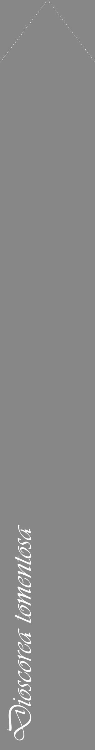 Étiquette de : Dioscorea tomentosa - format c - style blanche12_simple_simpleviv avec comestibilité - position verticale