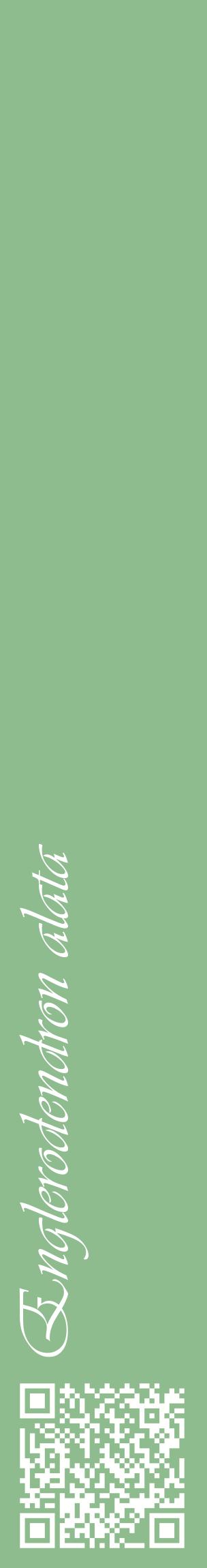 Étiquette de : Englerodendron alata - format c - style blanche13_basiqueviv avec qrcode et comestibilité