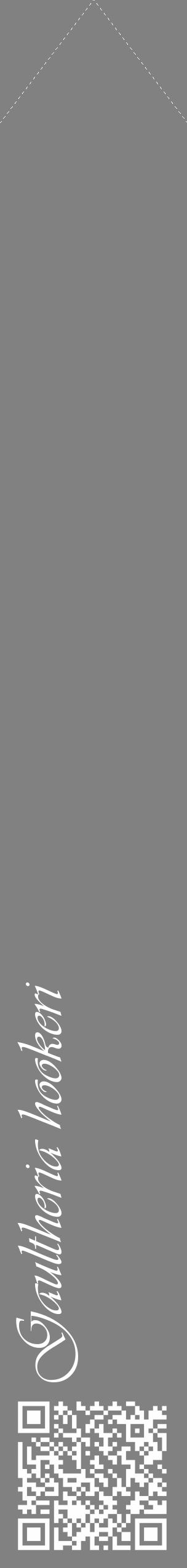 Étiquette de : Gaultheria hookeri - format c - style blanche50_simple_simpleviv avec qrcode et comestibilité - position verticale