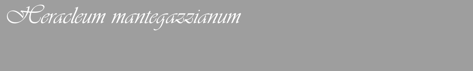 Étiquette de : Heracleum mantegazzianum - format c - style blanche23_basique_basiqueviv avec comestibilité