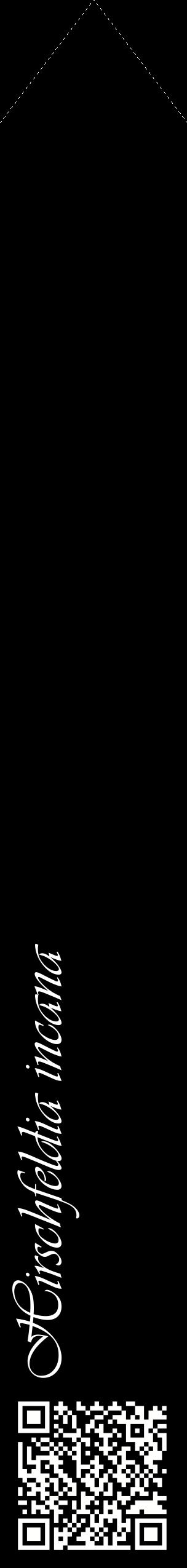 Étiquette de : Hirschfeldia incana - format c - style blanche59_simpleviv avec qrcode et comestibilité