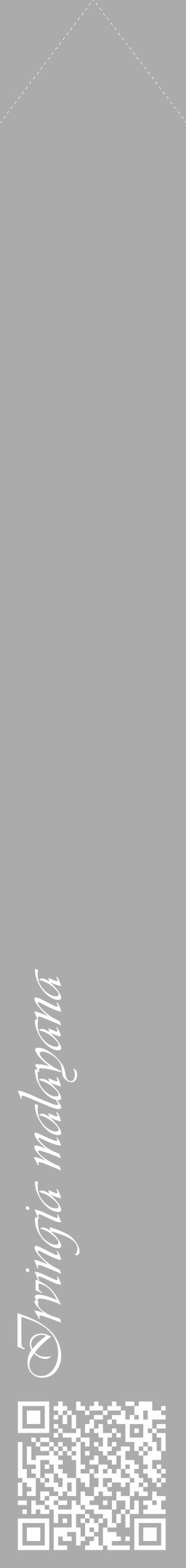 Étiquette de : Irvingia malayana - format c - style blanche37_simple_simpleviv avec qrcode et comestibilité - position verticale