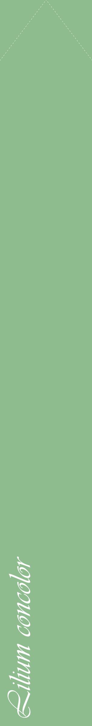 Étiquette de : Lilium concolor - format c - style blanche13_simpleviv avec comestibilité
