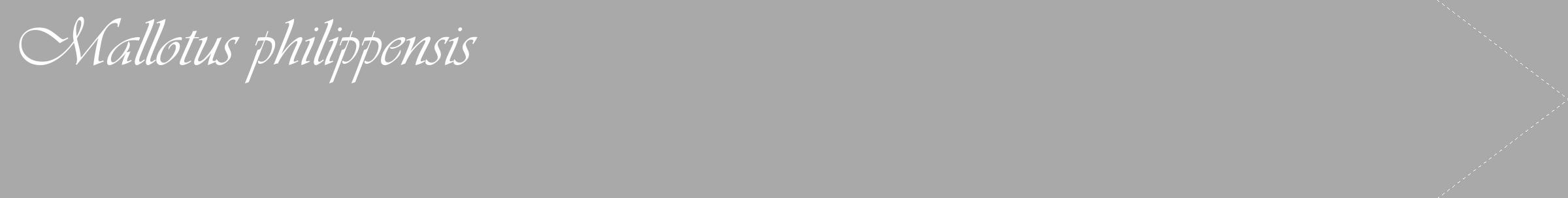 Étiquette de : Mallotus philippensis - format c - style blanche13_simple_simpleviv avec comestibilité
