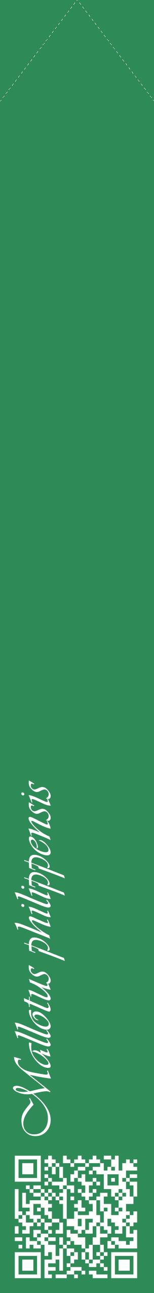 Étiquette de : Mallotus philippensis - format c - style blanche11_simpleviv avec qrcode et comestibilité