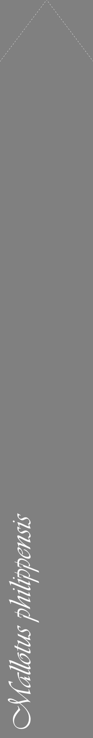 Étiquette de : Mallotus philippensis - format c - style blanche57_simpleviv avec comestibilité