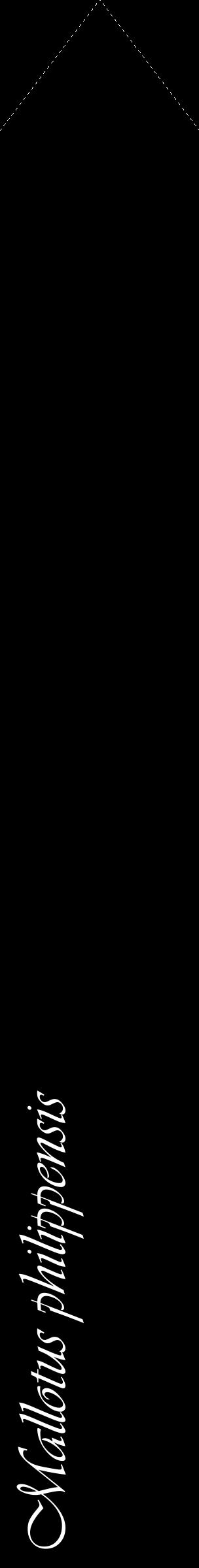 Étiquette de : Mallotus philippensis - format c - style blanche59_simpleviv avec comestibilité