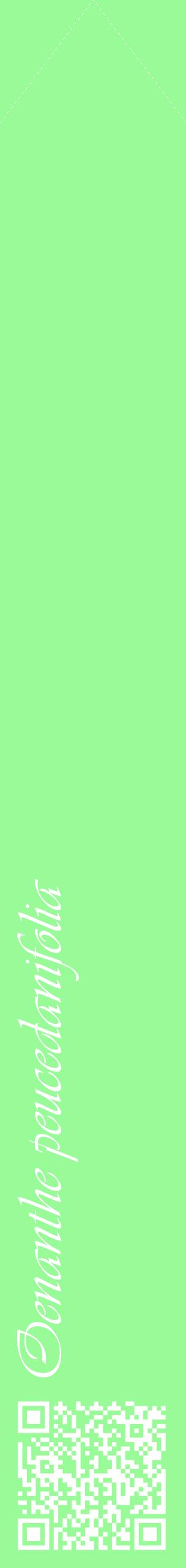 Étiquette de : Oenanthe peucedanifolia - format c - style blanche14_simpleviv avec qrcode et comestibilité