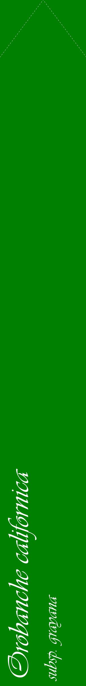 Étiquette de : Orobanche californica subsp. grayana - format c - style blanche9_simpleviv avec comestibilité