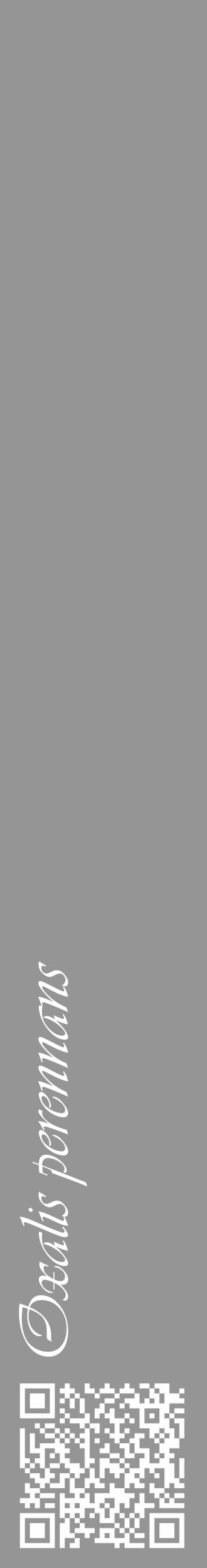 Étiquette de : Oxalis perennans - format c - style blanche16_basique_basiqueviv avec qrcode et comestibilité - position verticale
