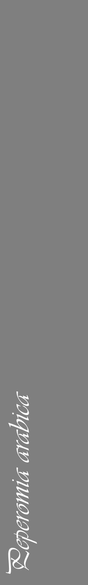 Étiquette de : Peperomia arabica - format c - style blanche31_basique_basiqueviv avec comestibilité - position verticale