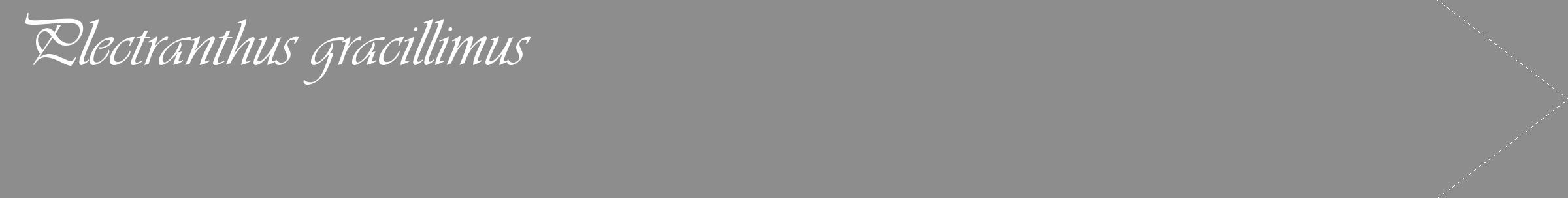 Étiquette de : Plectranthus gracillimus - format c - style blanche2_simple_simpleviv avec comestibilité