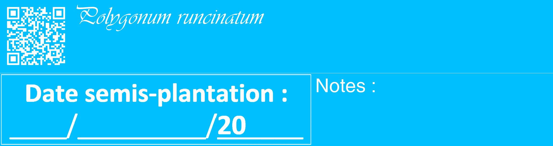 Étiquette de : Polygonum runcinatum - format c - style blanche2_basique_basiqueviv avec qrcode et comestibilité