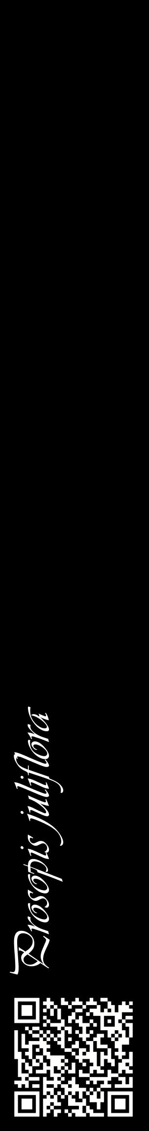 Étiquette de : Prosopis juliflora - format c - style blanche59_basiqueviv avec qrcode et comestibilité
