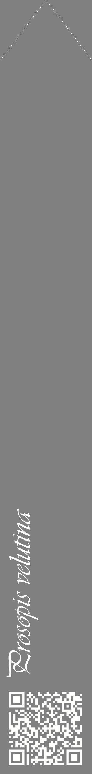 Étiquette de : Prosopis velutina - format c - style blanche57_simpleviv avec qrcode et comestibilité