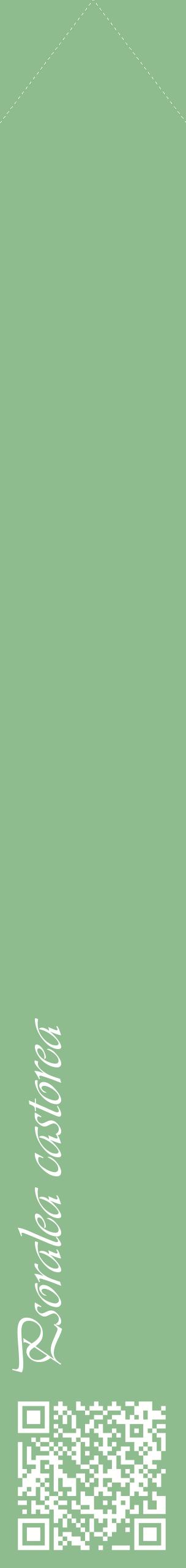 Étiquette de : Psoralea castorea - format c - style blanche13_simpleviv avec qrcode et comestibilité