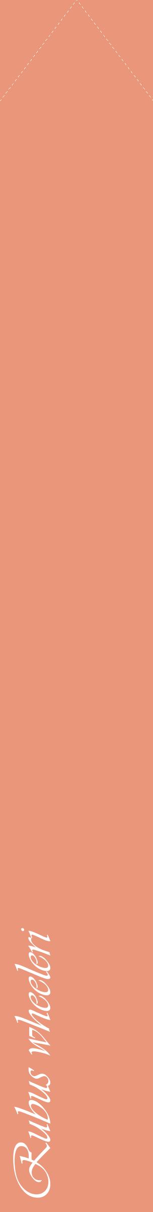 Étiquette de : Rubus wheeleri - format c - style blanche37_simpleviv avec comestibilité