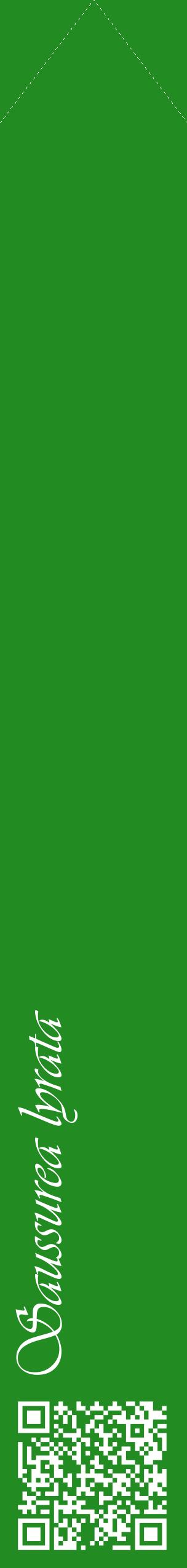 Étiquette de : Saussurea lyrata - format c - style blanche10_simpleviv avec qrcode et comestibilité