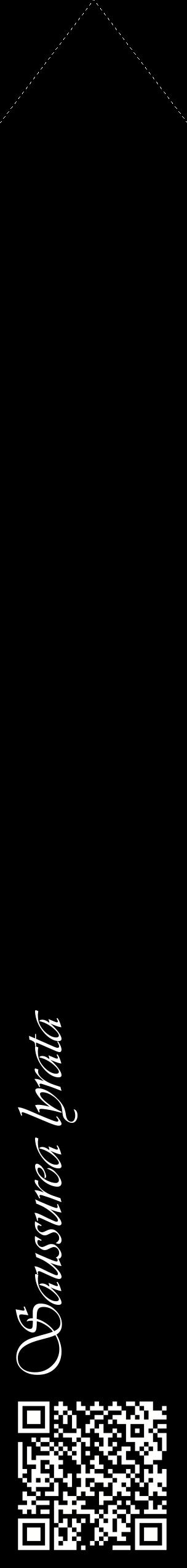 Étiquette de : Saussurea lyrata - format c - style blanche59_simpleviv avec qrcode et comestibilité