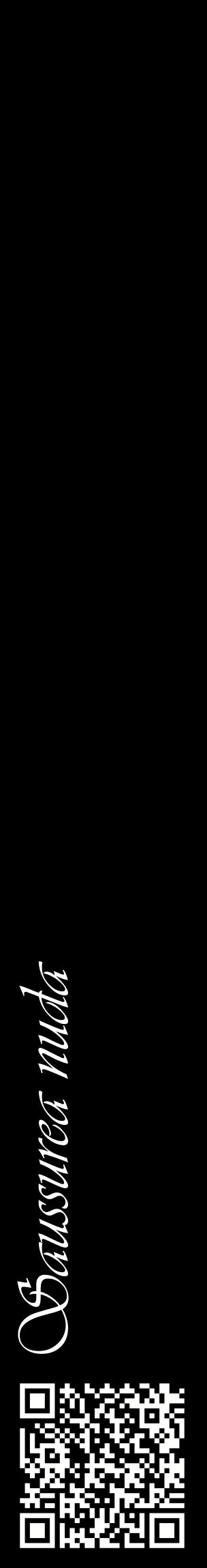 Étiquette de : Saussurea nuda - format c - style blanche59_basiqueviv avec qrcode et comestibilité