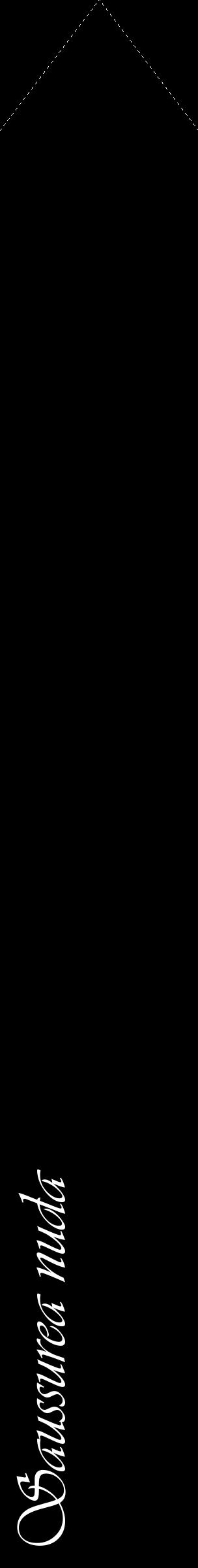 Étiquette de : Saussurea nuda - format c - style blanche59_simpleviv avec comestibilité