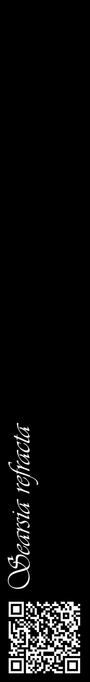 Étiquette de : Searsia refracta - format c - style blanche59_basiqueviv avec qrcode et comestibilité