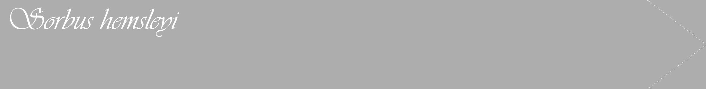 Étiquette de : Sorbus hemsleyi - format c - style blanche22_simple_simpleviv avec comestibilité