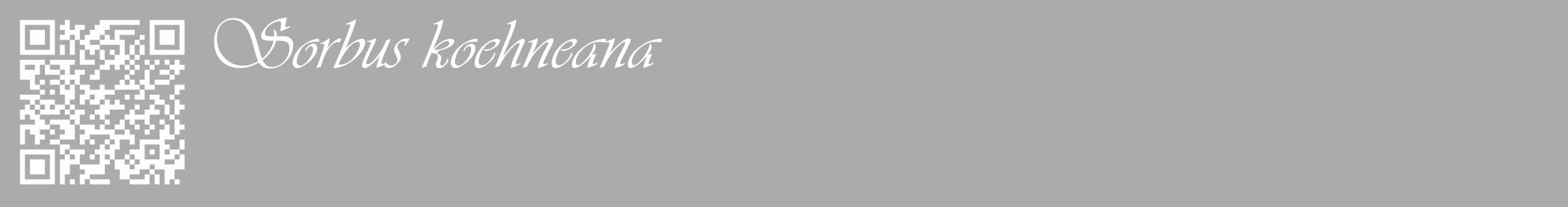 Étiquette de : Sorbus koehneana - format c - style blanche37_basique_basiqueviv avec qrcode et comestibilité