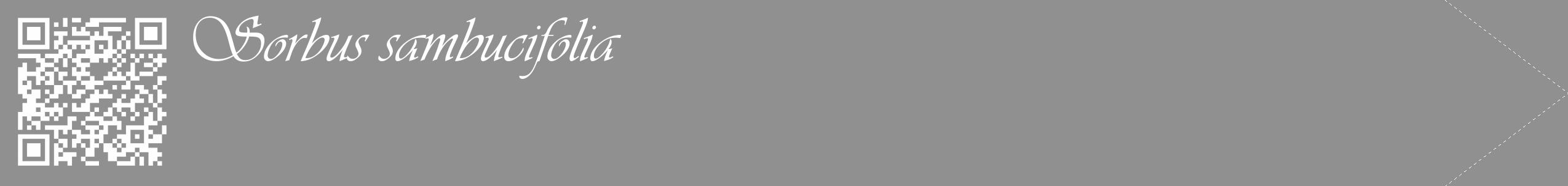 Étiquette de : Sorbus sambucifolia - format c - style blanche4_simple_simpleviv avec qrcode et comestibilité