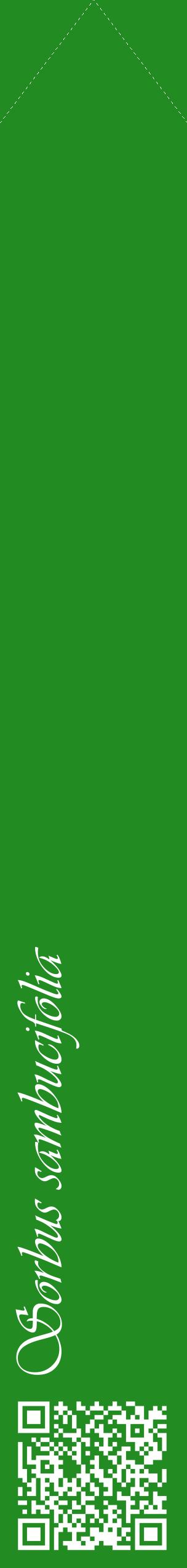 Étiquette de : Sorbus sambucifolia - format c - style blanche10_simpleviv avec qrcode et comestibilité