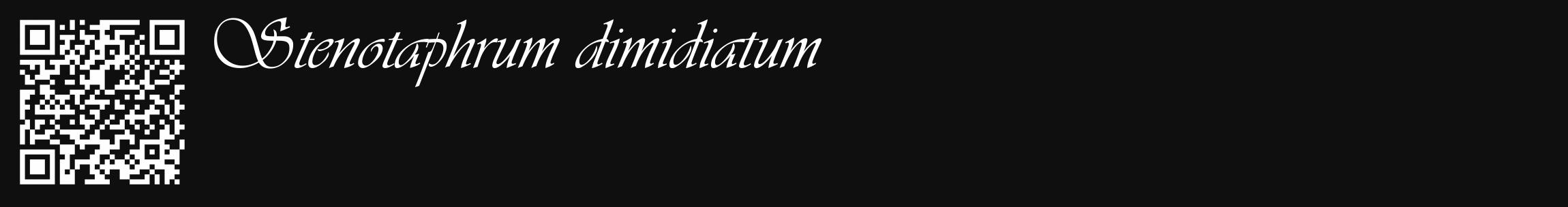 Étiquette de : Stenotaphrum dimidiatum - format c - style blanche7_basique_basiqueviv avec qrcode et comestibilité