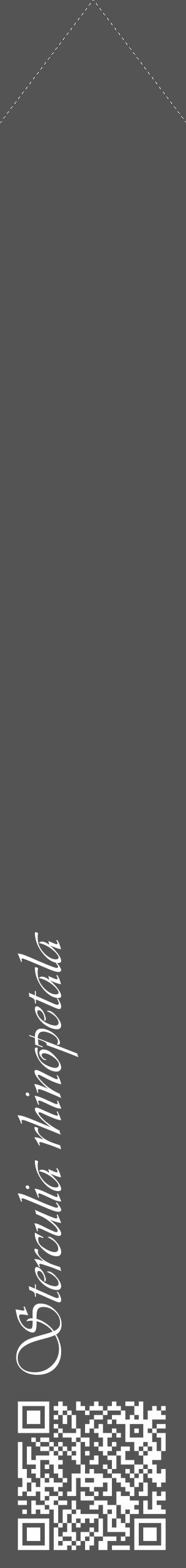 Étiquette de : Sterculia rhinopetala - format c - style blanche30_simple_simpleviv avec qrcode et comestibilité - position verticale