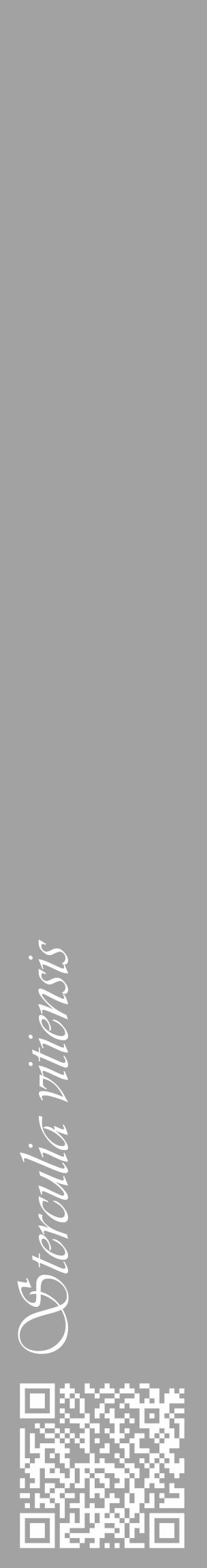 Étiquette de : Sterculia vitiensis - format c - style blanche38_basique_basiqueviv avec qrcode et comestibilité - position verticale