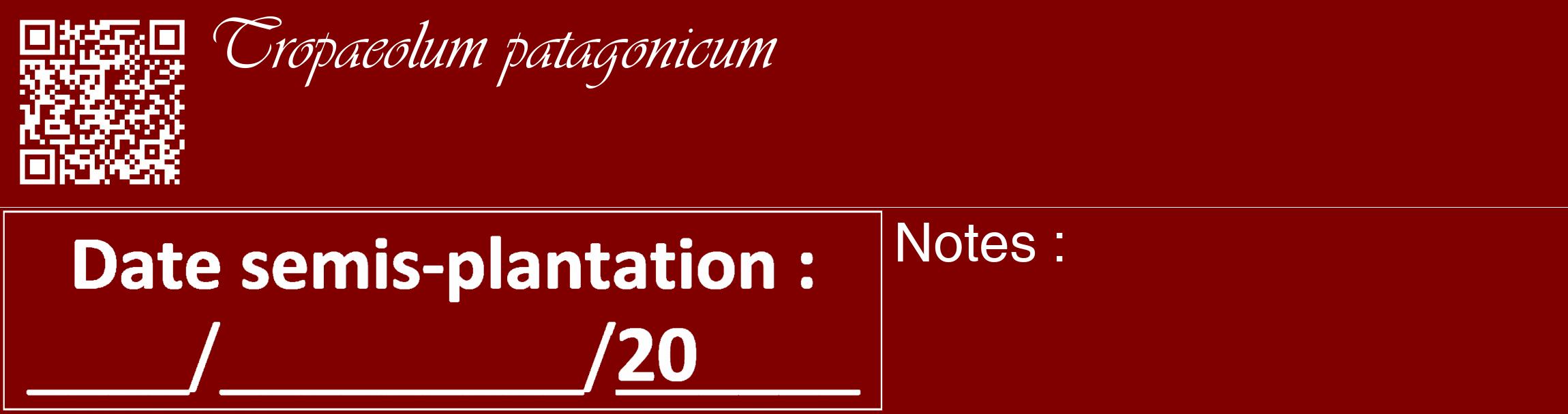Étiquette de : Tropaeolum patagonicum - format c - style blanche29_basique_basiqueviv avec qrcode et comestibilité
