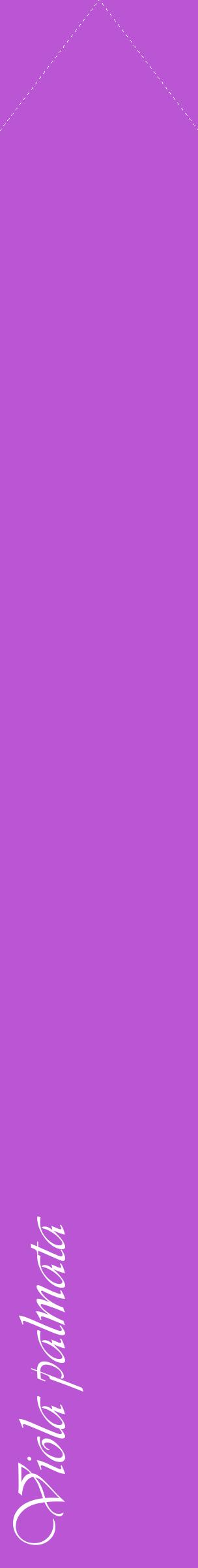 Étiquette de : Viola palmata - format c - style blanche50_simpleviv avec comestibilité