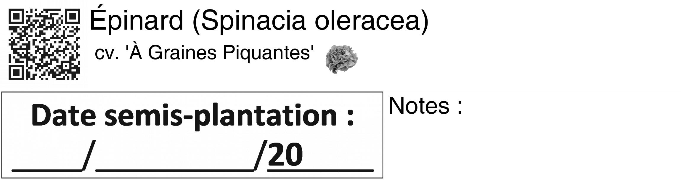 Étiquette de : Spinacia oleracea cv. 'À Graines Piquantes' - format c - style noire60_basiquegrrvhel avec qrcode et comestibilité simplifiée