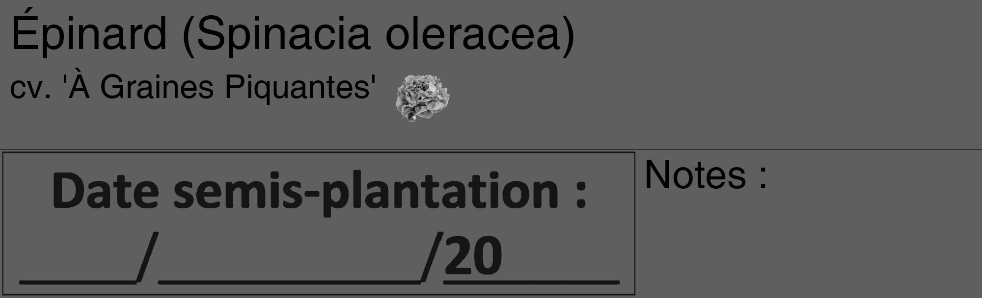 Étiquette de : Spinacia oleracea cv. 'À Graines Piquantes' - format c - style noire10_basique_basiquehel avec comestibilité simplifiée