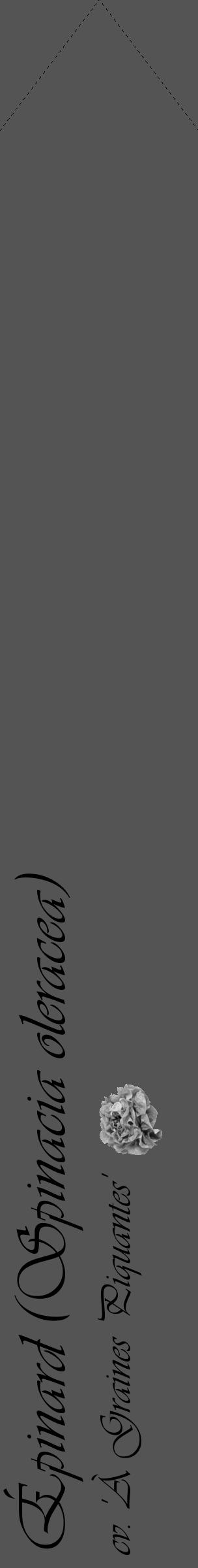 Étiquette de : Spinacia oleracea cv. 'À Graines Piquantes' - format c - style noire36simple_basique_basiqueviv avec comestibilité simplifiée - position verticale