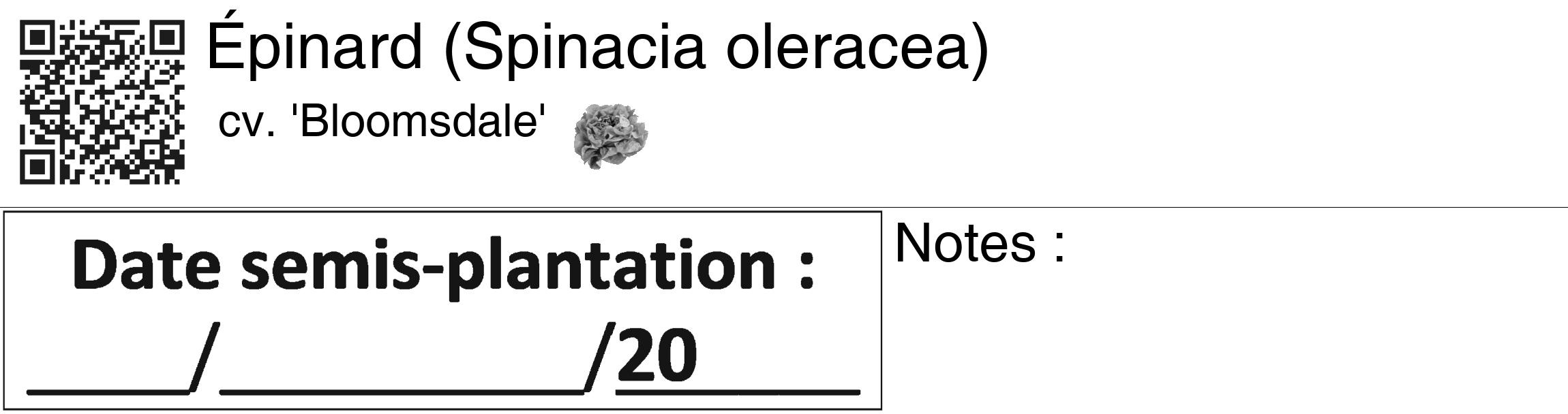 Étiquette de : Spinacia oleracea cv. 'Bloomsdale' - format c - style noire60_basiquegrrvhel avec qrcode et comestibilité simplifiée