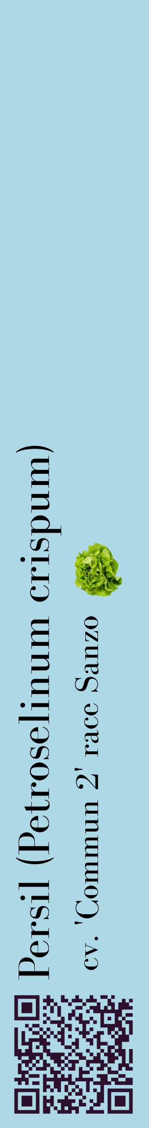 Étiquette de : Petroselinum crispum cv. 'Commun 2' race Sanzo - format c - style noire0_basiquebod avec qrcode et comestibilité simplifiée