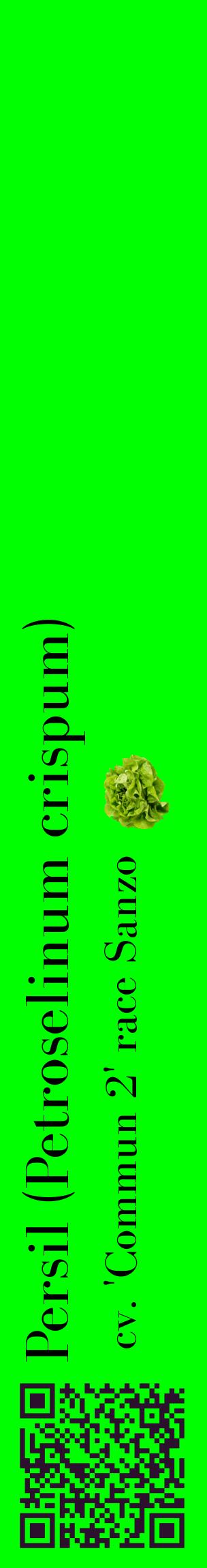 Étiquette de : Petroselinum crispum cv. 'Commun 2' race Sanzo - format c - style noire16_basiquebod avec qrcode et comestibilité simplifiée