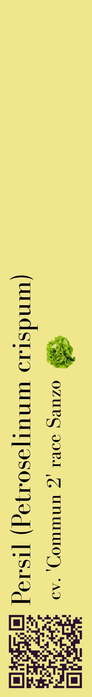 Étiquette de : Petroselinum crispum cv. 'Commun 2' race Sanzo - format c - style noire20_basiquebod avec qrcode et comestibilité simplifiée
