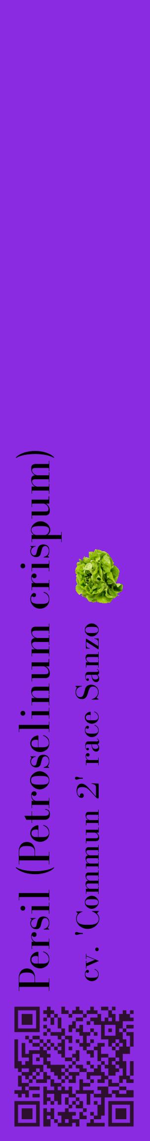 Étiquette de : Petroselinum crispum cv. 'Commun 2' race Sanzo - format c - style noire49_basiquebod avec qrcode et comestibilité simplifiée