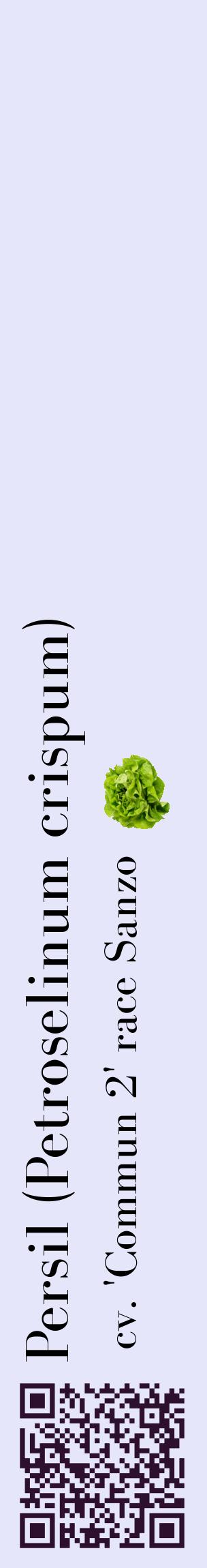 Étiquette de : Petroselinum crispum cv. 'Commun 2' race Sanzo - format c - style noire55_basiquebod avec qrcode et comestibilité simplifiée