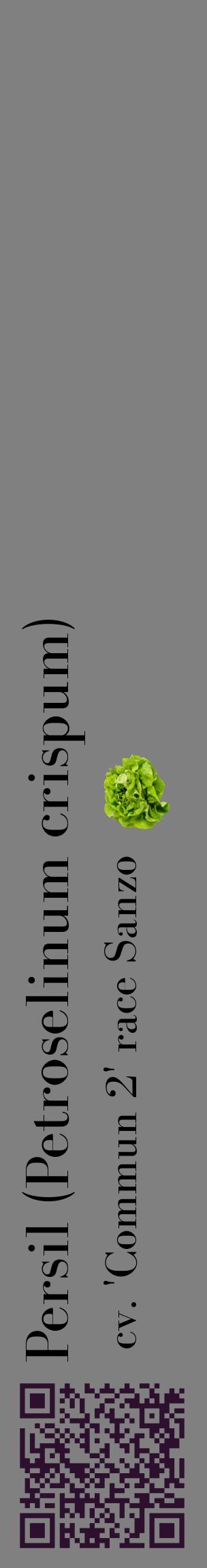 Étiquette de : Petroselinum crispum cv. 'Commun 2' race Sanzo - format c - style noire57_basiquebod avec qrcode et comestibilité simplifiée