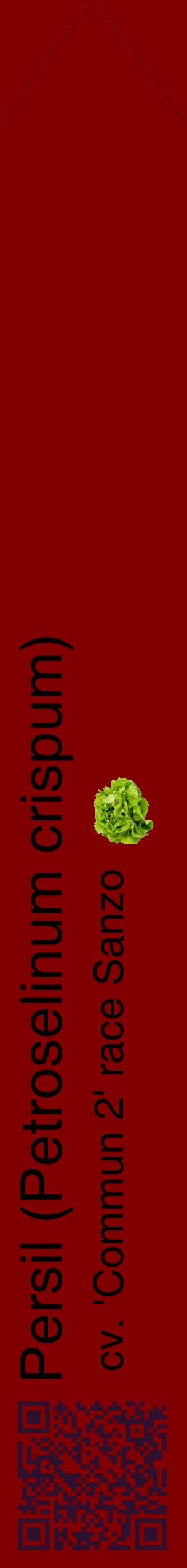 Étiquette de : Petroselinum crispum cv. 'Commun 2' race Sanzo - format c - style noire29_simplehel avec qrcode et comestibilité simplifiée