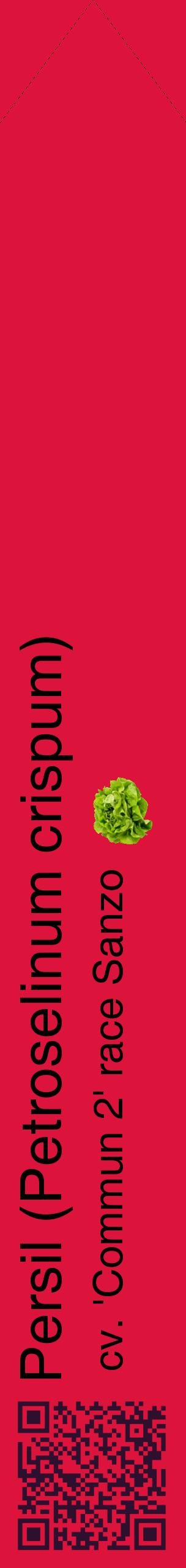 Étiquette de : Petroselinum crispum cv. 'Commun 2' race Sanzo - format c - style noire36_simplehel avec qrcode et comestibilité simplifiée